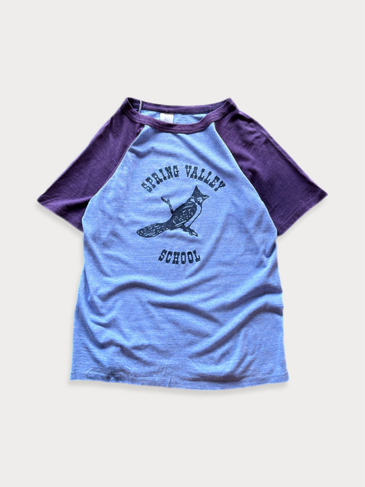 1970s Spring Valley School tee