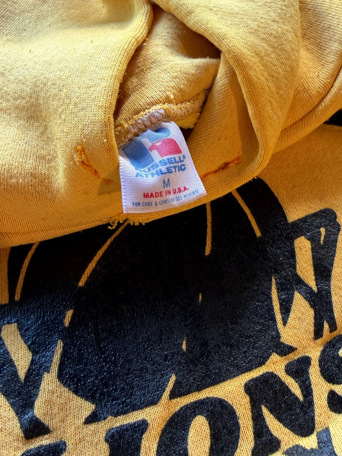 1980s Dresden Lions Russell hoodie