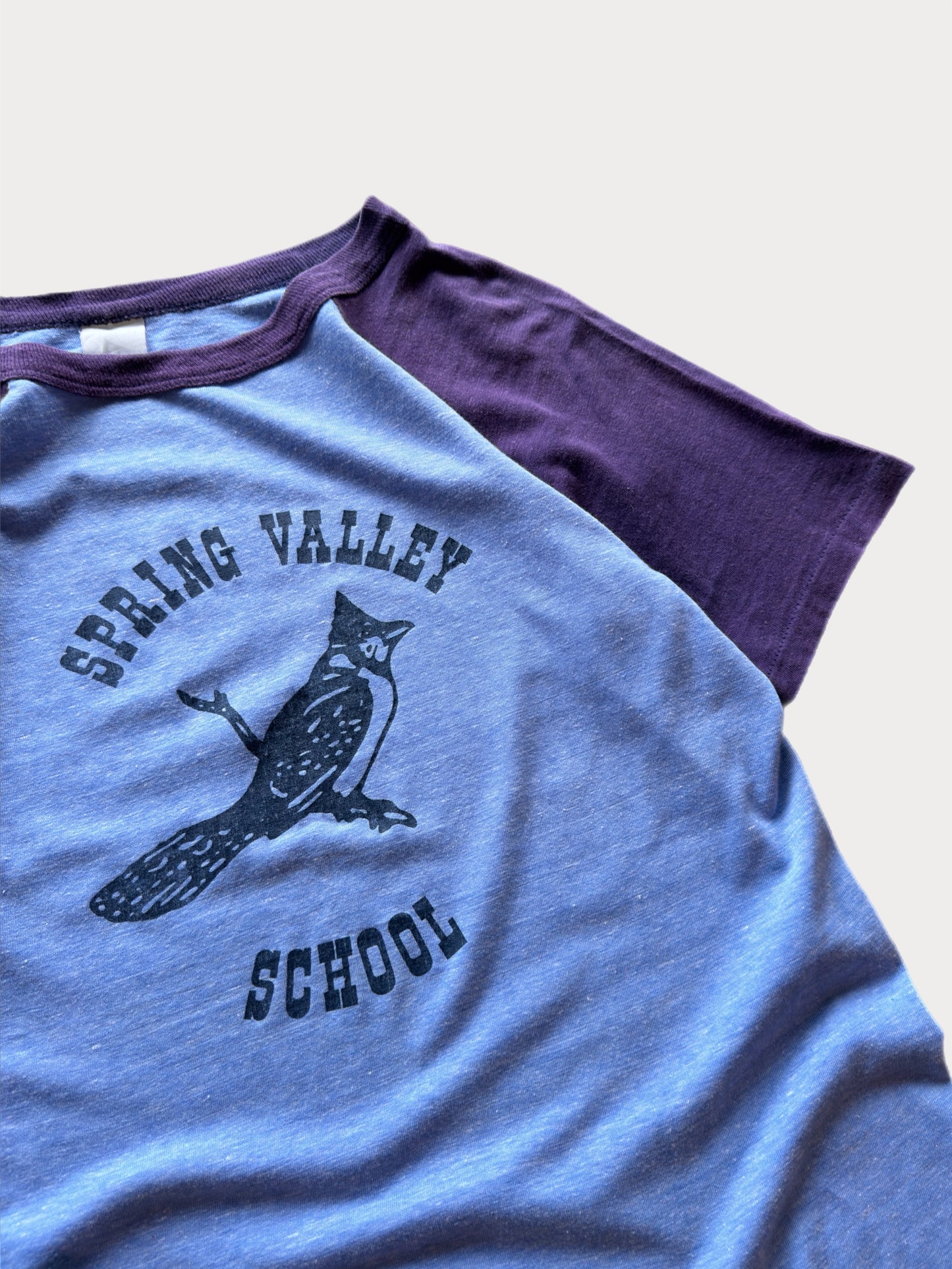 1970s Spring Valley School tee