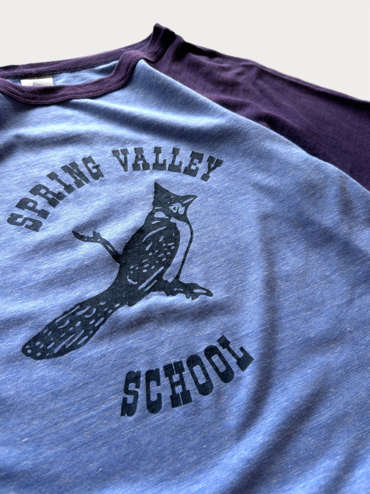 1970s Spring Valley School tee
